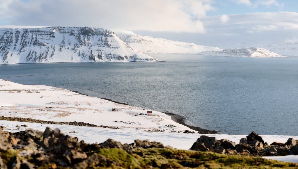 landscape with fjords in hornstrandir winter with snow and rocks